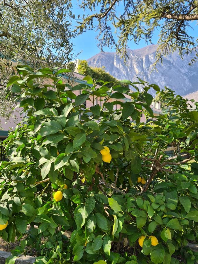 Le Peonie Apartment Riva del Garda Ngoại thất bức ảnh