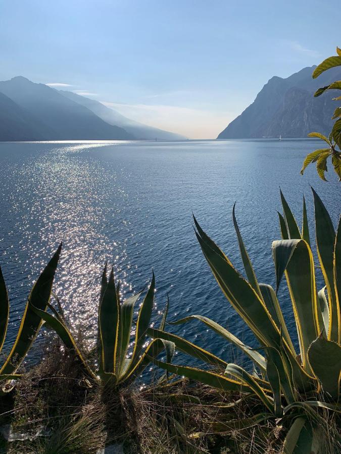 Le Peonie Apartment Riva del Garda Ngoại thất bức ảnh