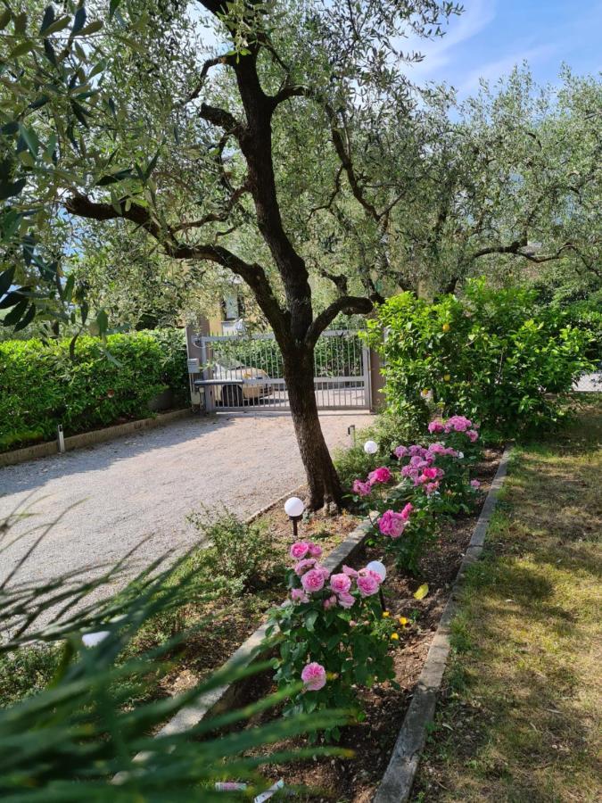 Le Peonie Apartment Riva del Garda Ngoại thất bức ảnh
