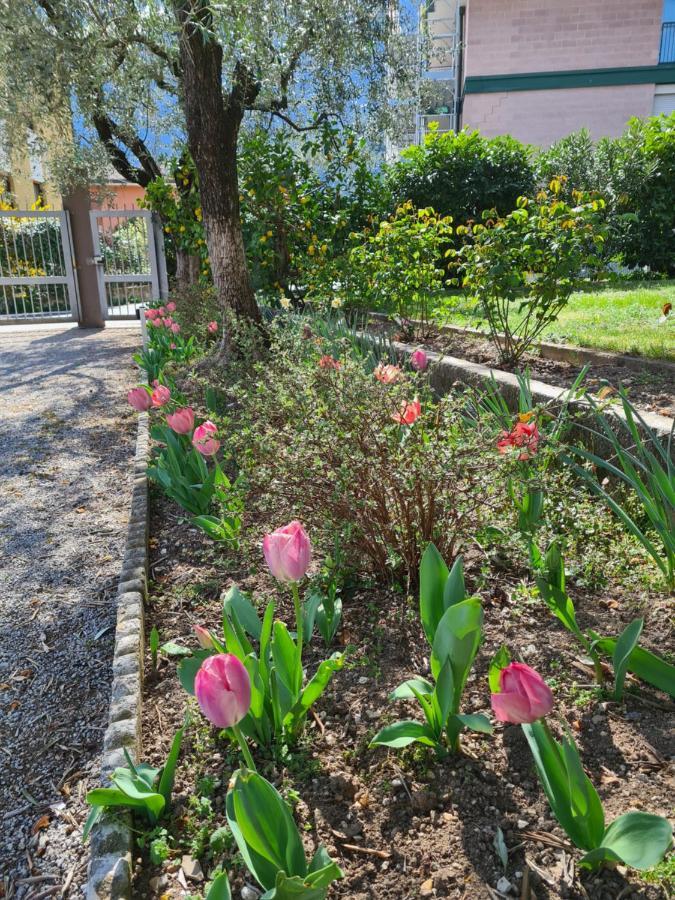 Le Peonie Apartment Riva del Garda Ngoại thất bức ảnh